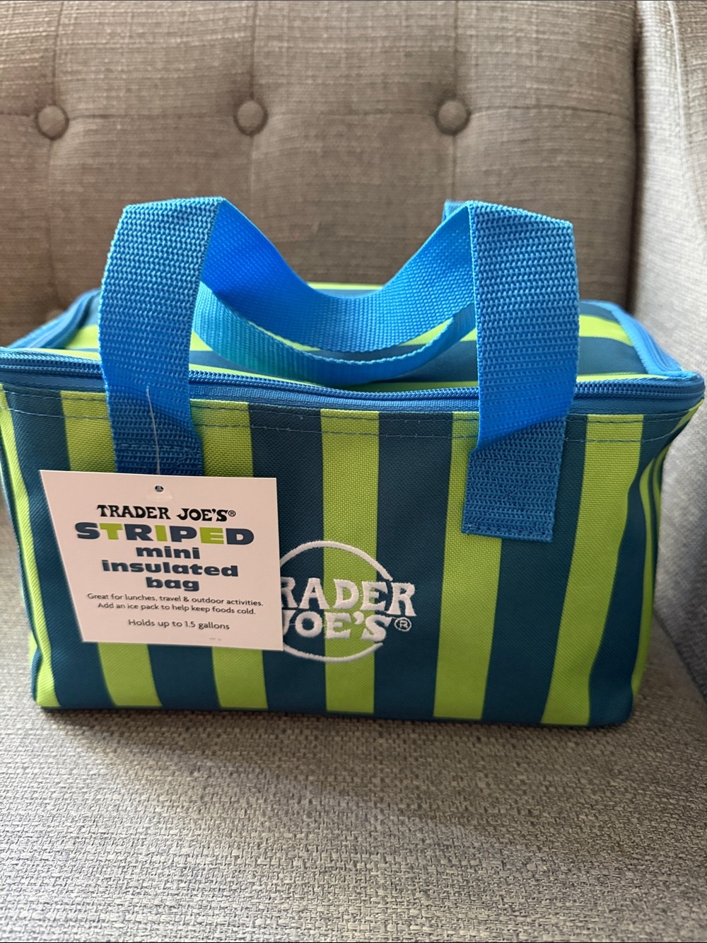 Striped Mini Insulated Bag in Blue & Green